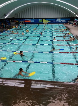 carriles para alberca